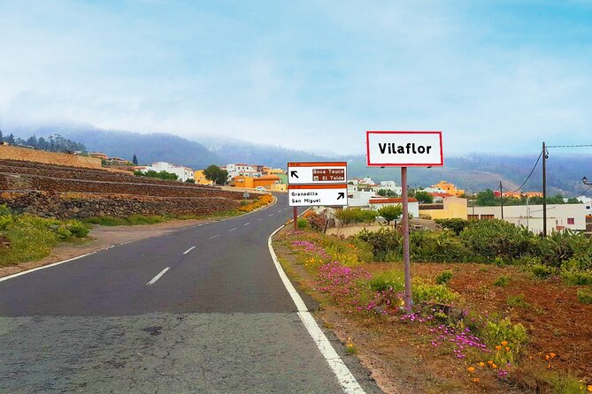 Volcano Teide - Masca ravine. Guided Tour from Puerto de la Cruz - Tenerife - Icod’s dragon tree and local wine