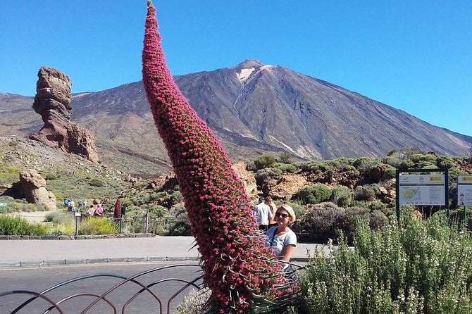 Volcano Teide - Masca ravine. Guided Tour from Puerto de la Cruz - Tenerife - The guide, driver and bilingual format