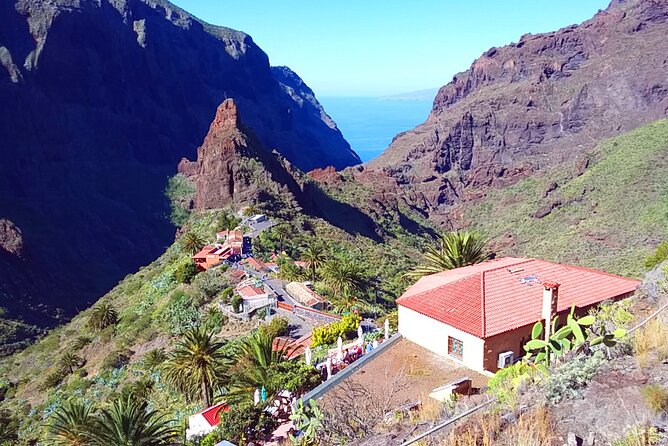 Volcano Teide - Masca ravine. Guided Tour from Puerto de la Cruz - Tenerife - Is $77.24 good value?