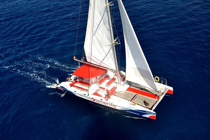 Watching and Listening Whales visiting Los Gigantes&Masca. Food&drinks included - Key points before you sail