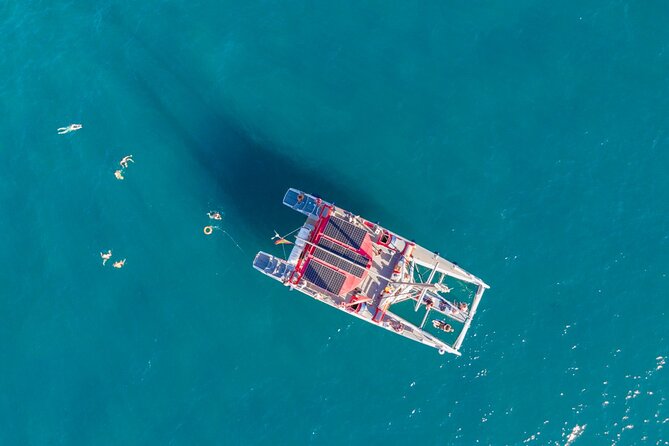 Watching and Listening Whales visiting Los Gigantes&Masca. Food&drinks included - Who will enjoy this catamaran trip