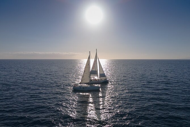 Watching and Listening Whales visiting Los Gigantes&Masca. Food&drinks included - Should you book it?