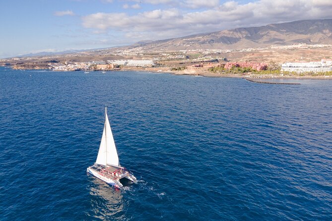 Watching and Listening Whales visiting Los Gigantes&Masca. Food&drinks included - FAQ