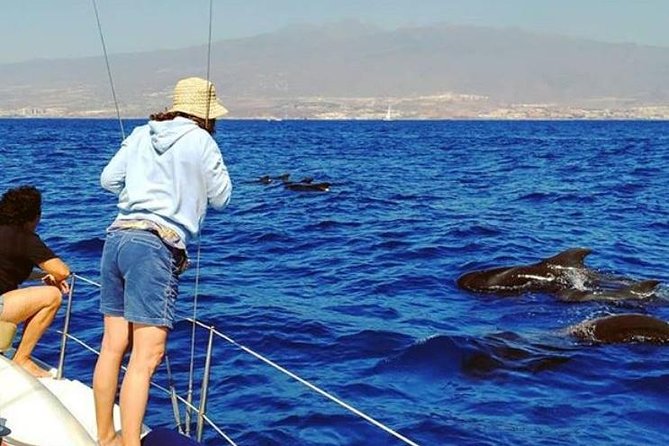 Whale and Dolphin Small Group Sailing from Tenerife South - Heading offshore for pilot whales