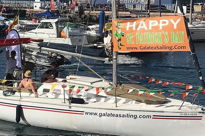 Whale and Dolphin Small Group Sailing from Tenerife South - Before you book from Tenerife South