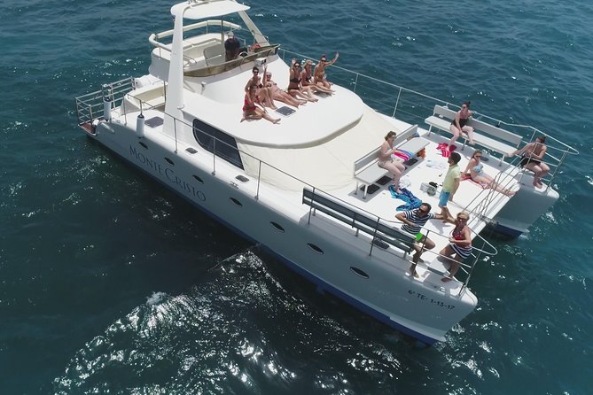 Whale and Dolphin Watching Catamaran with Transfer and Buffet - The essentials at a glance