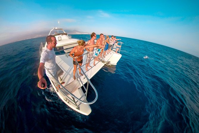 Whale and Dolphin Watching Catamaran with Transfer and Buffet - Puerto Colón is the starting point
