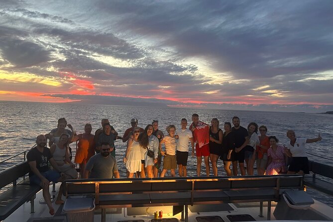 Whale and Dolphin Watching Catamaran with Transfer and Buffet - What the $71.35 fare gets you