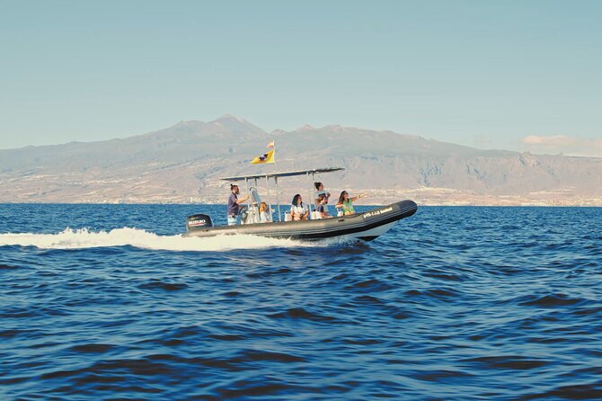 Whale and Dolphin Watching EcoAdventure in Tenerife - Why the hydrophone changes the experience