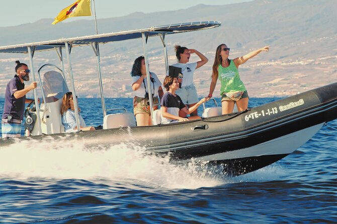 Whale and Dolphin Watching EcoAdventure in Tenerife - What the $65.17 price gets you