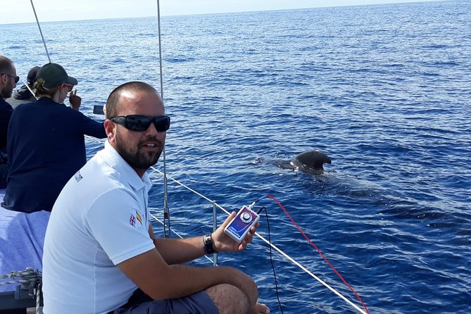 Whale and Dolphin Watching Sailing Boat with Drinks, Snacks and Swimming Time - Who will enjoy this boat trip