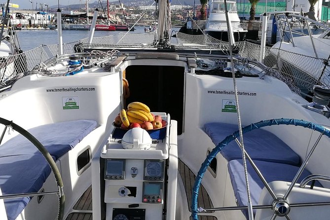 Whale and Dolphin Watching Sailing Boat with Drinks, Snacks and Swimming Time - Should you book this whale-watching trip?