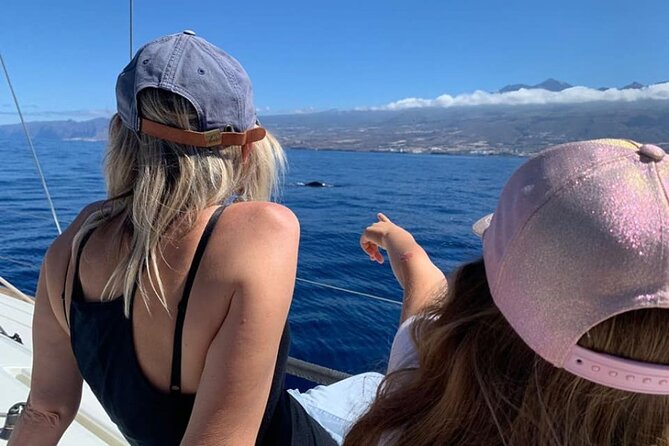 Whale and Dolphin Watching Yacht Trip in Puerto Colon - A few practical details