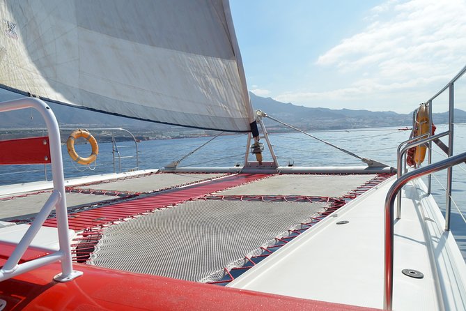 Whale Watching and Listening Eco Catamaran Tour with Food Tasting - Five hours from Puerto Colón