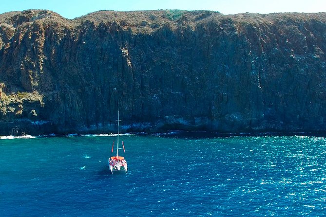 Whale Watching and Listening Eco Catamaran Tour with Food Tasting - Along Los Gigantes and toward Masca Bay