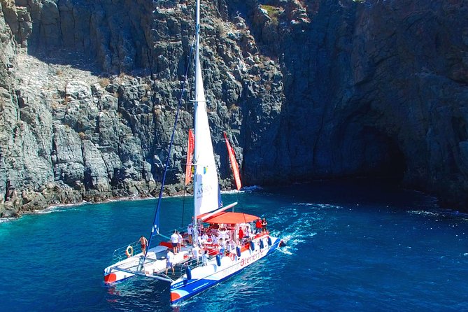 Whale Watching and Listening Eco Catamaran Tour with Food Tasting - Comfort, crowding, and what to bring