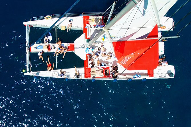 Whale Watching and Listening Eco Catamaran Tour with Food Tasting - FAQ