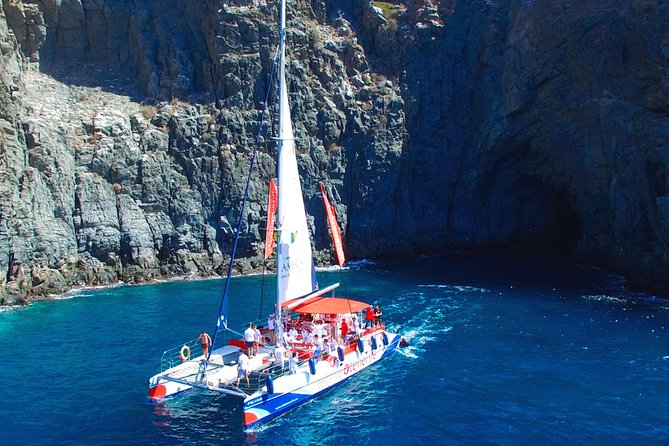 Whale watching and listening Eco-Catamaran Tour with Food Tasting - FAQ