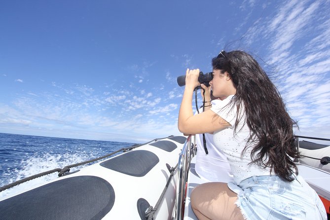 Whale Watching and Marine Science Tour - What the wildlife encounters can look like