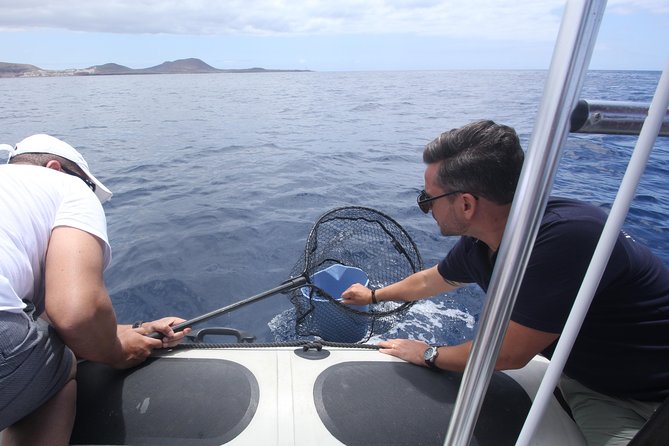 Whale Watching and Marine Science Tour - Who will enjoy the time on board