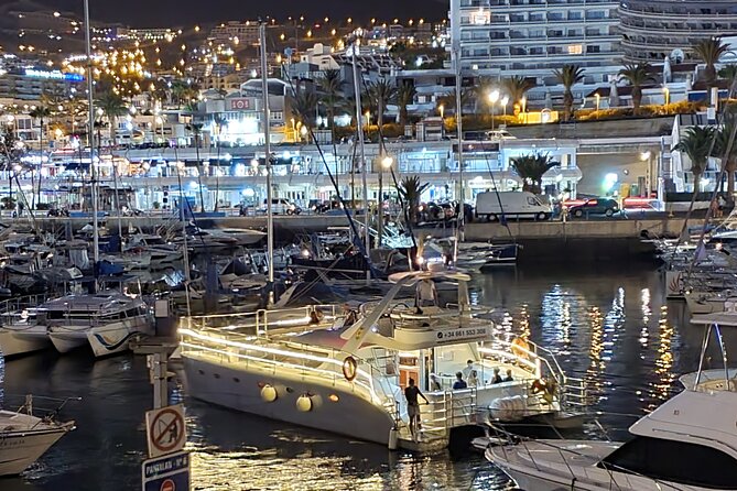 Whale Watching Catamaran Cruise with Transfer, Buffet by MC - A swimming stop, if conditions allow