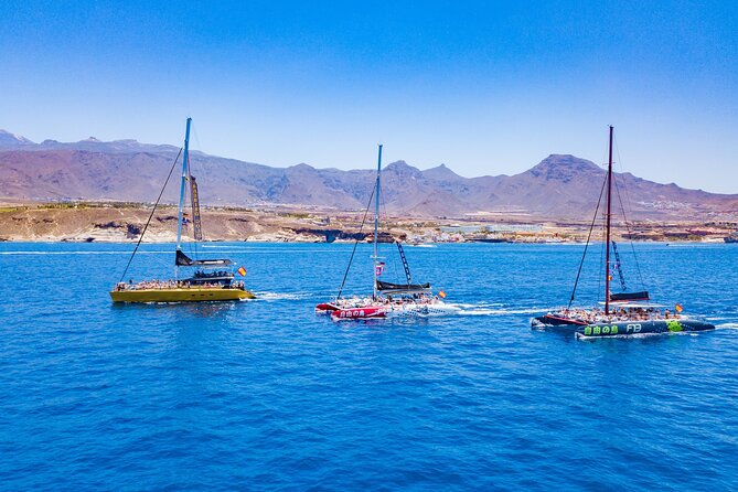 Whale Watching Catamaran in Costa Adeje (Including drinks & Sandwich) - Who should book this Costa Adeje whale trip
