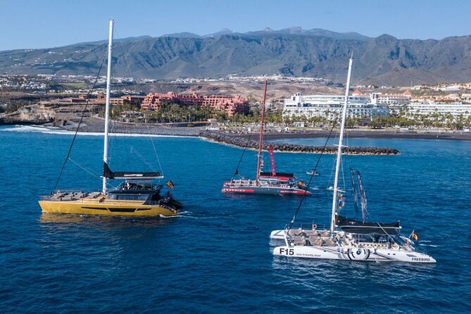 Whale Watching Catamaran in Costa Adeje (Including drinks & Sandwich) - FAQ