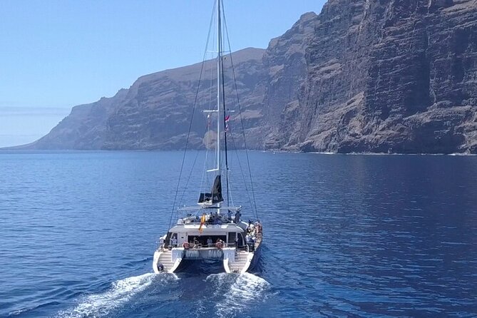 Whale Watching Catamaran to Los Gigantes & Masca (Including drinks & warm lunch) - At a glance