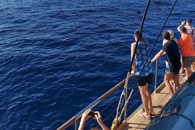 Whale Watching Catamaran to Los Gigantes & Masca (Including drinks & warm lunch) - What lunch and drinks are really like