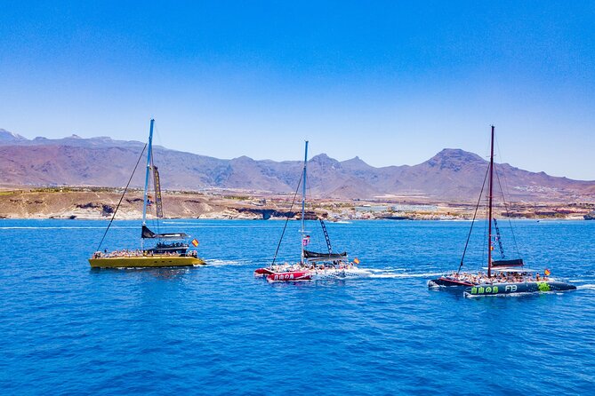Whale Watching Catamaran to Los Gigantes & Masca (Including drinks & warm lunch) - Is $72.08 good value?