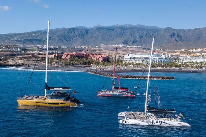 Whale Watching Catamaran to Los Gigantes & Masca (Including drinks & warm lunch) - Pickup, timing and practical planning