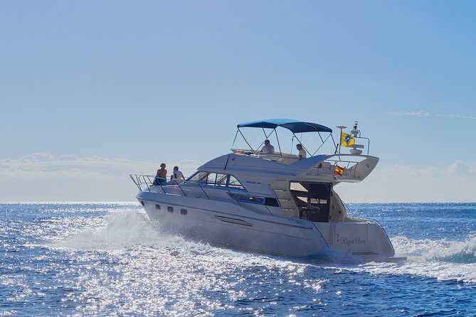 Whales and Dolphins excursion on a Luxury Yacht in Canary Islands - The details that shape the trip