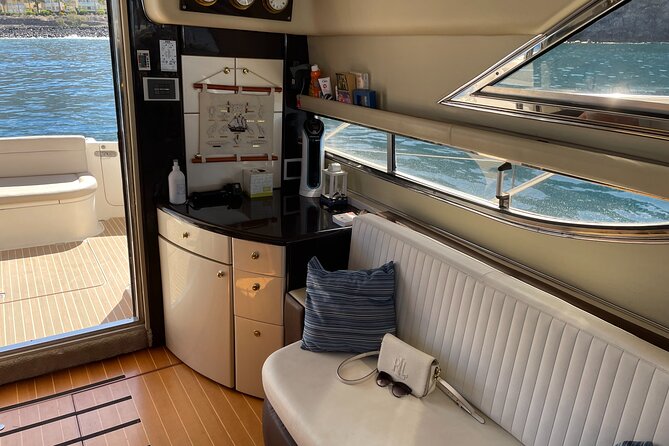 Whales and Dolphins excursion on a Luxury Yacht in Canary Islands - From Las Galletas, out into whale country