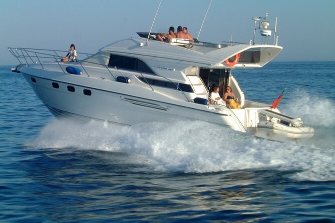 Whales and Dolphins excursion on a Luxury Yacht in Canary Islands - Timing, pickup and sea conditions