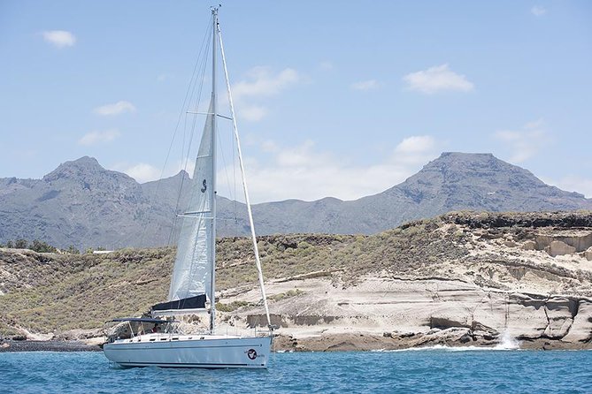 Whales & Dolphins watching in exclusive sailboat - Swimming, sandwiches, and time to unwind