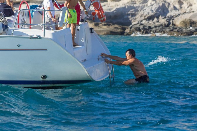 Whales & Dolphins watching in exclusive sailboat - Should you book it?
